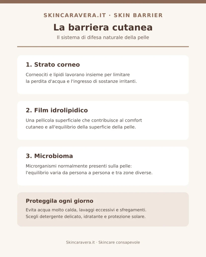 Infografica sulla barriera cutanea, il film idrolipidico e il microbioma