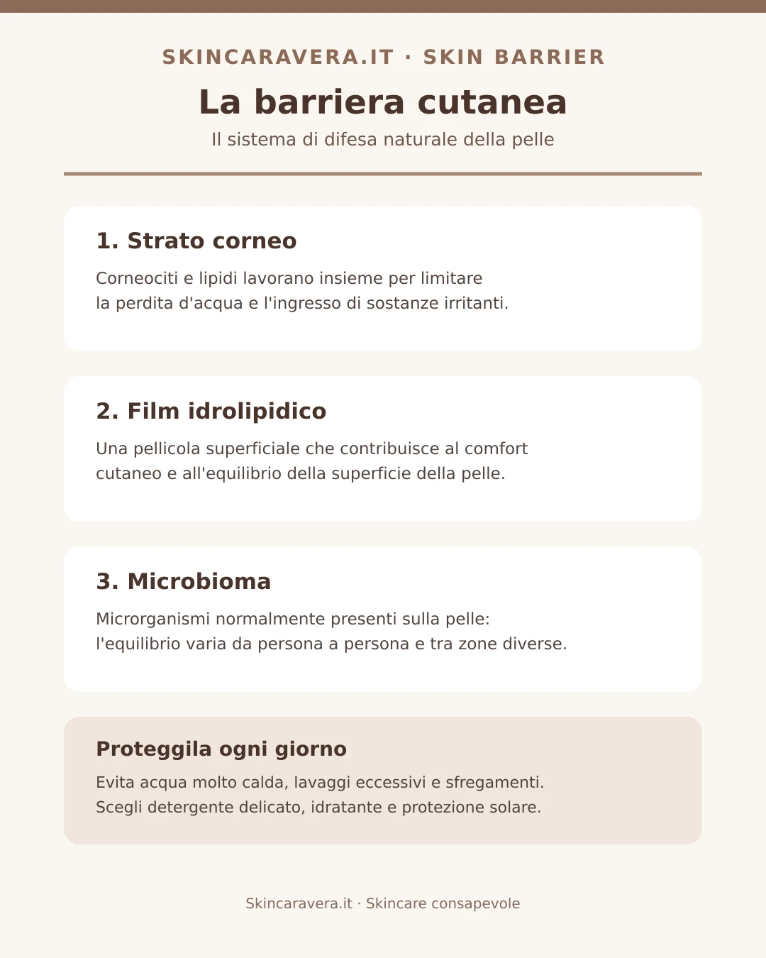 Infografica sulla barriera cutanea, il film idrolipidico e il microbioma
